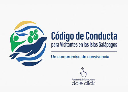 Publicidad